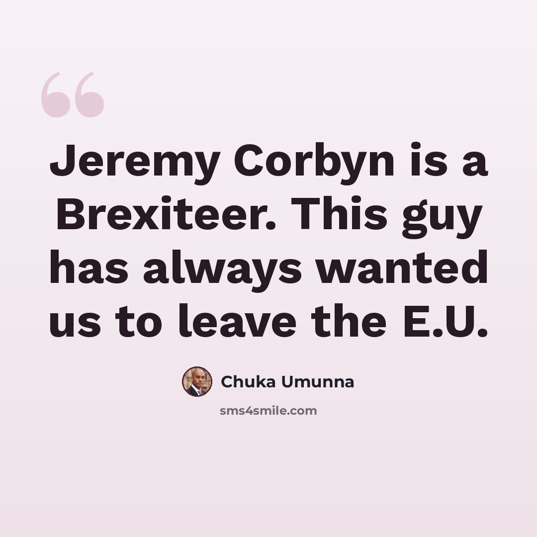 “Jeremy Corbyn is a Brexiteer. This guy has always wanted us to leave the E.U.” quote by Chuka Umunna