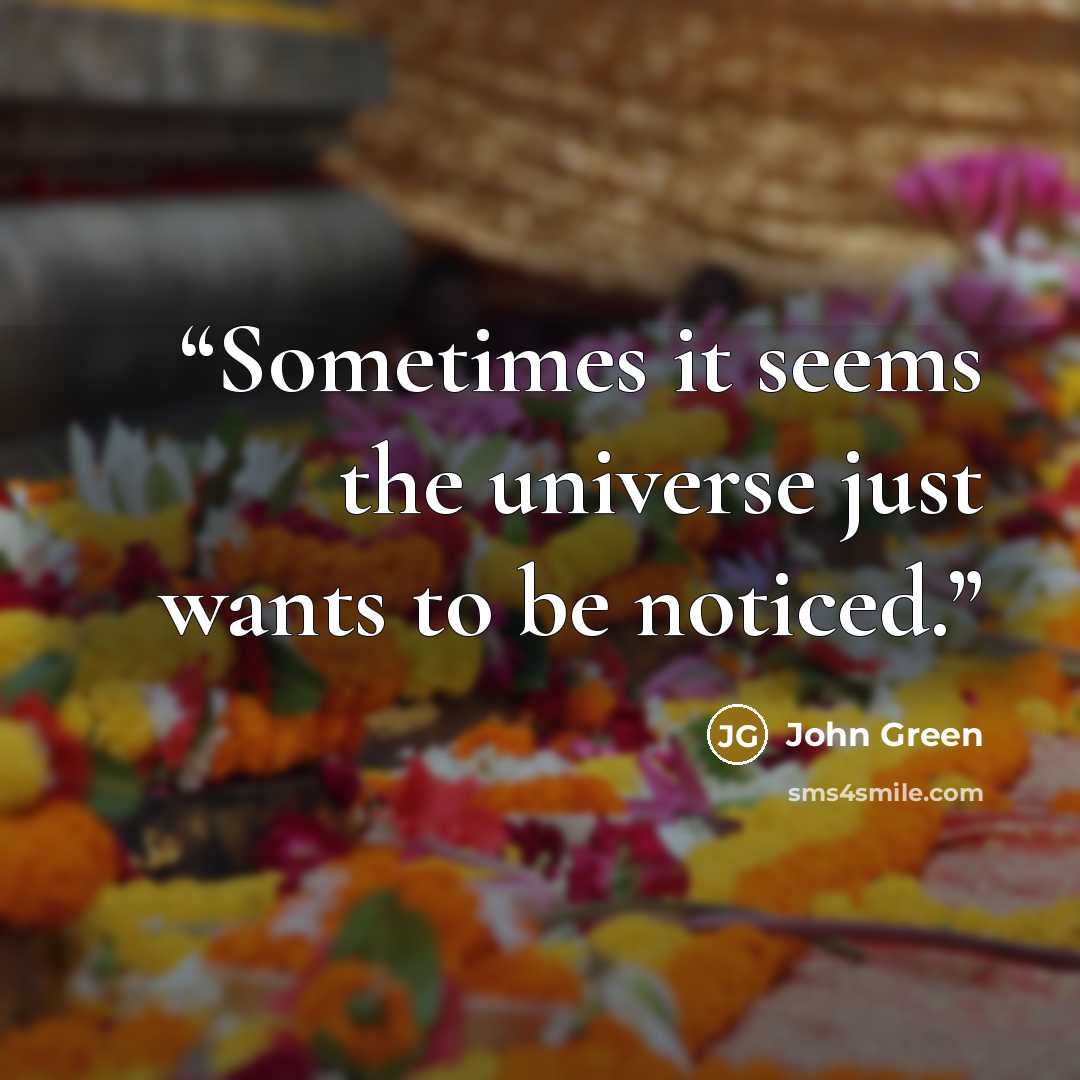 “Sometimes it seems the universe just wants to be noticed.” quote by John Green