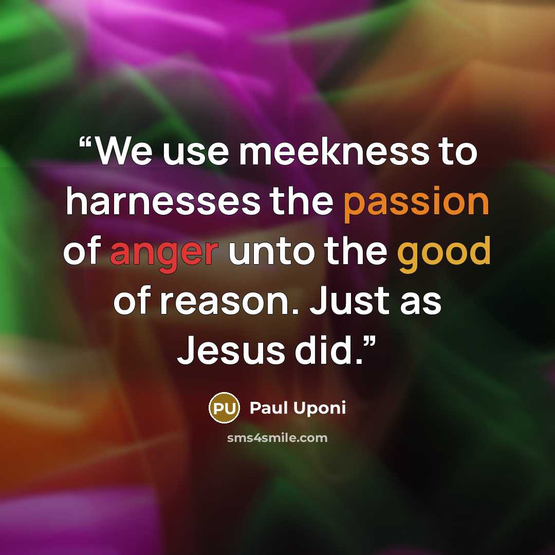 “We use meekness to harnesses the passion of anger unto the good of reason. Just as Jesus did.” quote by Paul Uponi