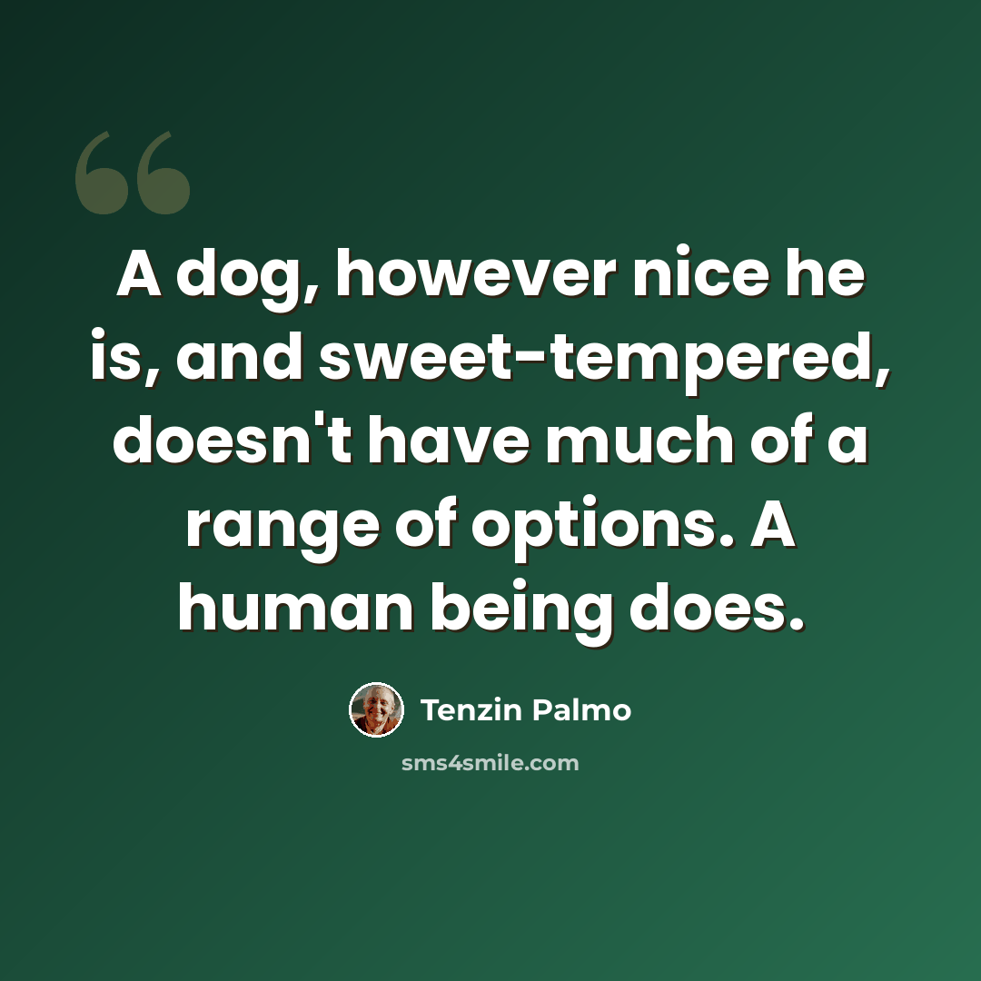 “A dog, however nice he is, and sweet-tempered, doesn't have much of a range of options. A human being does.” quote by Tenzin Palmo
