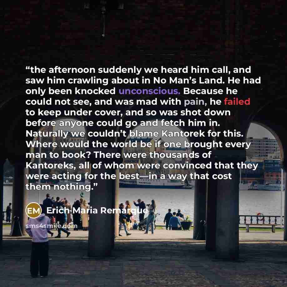 “the afternoon suddenly we heard him call, and saw him crawling about in No Man’s Land. He had only been knocked unconscious. Because he could not see, and was mad with pain, he failed to keep under cover, and so was shot down before anyone could go and fetch him in. Naturally we couldn’t blame…” quote by Erich Maria Remarque