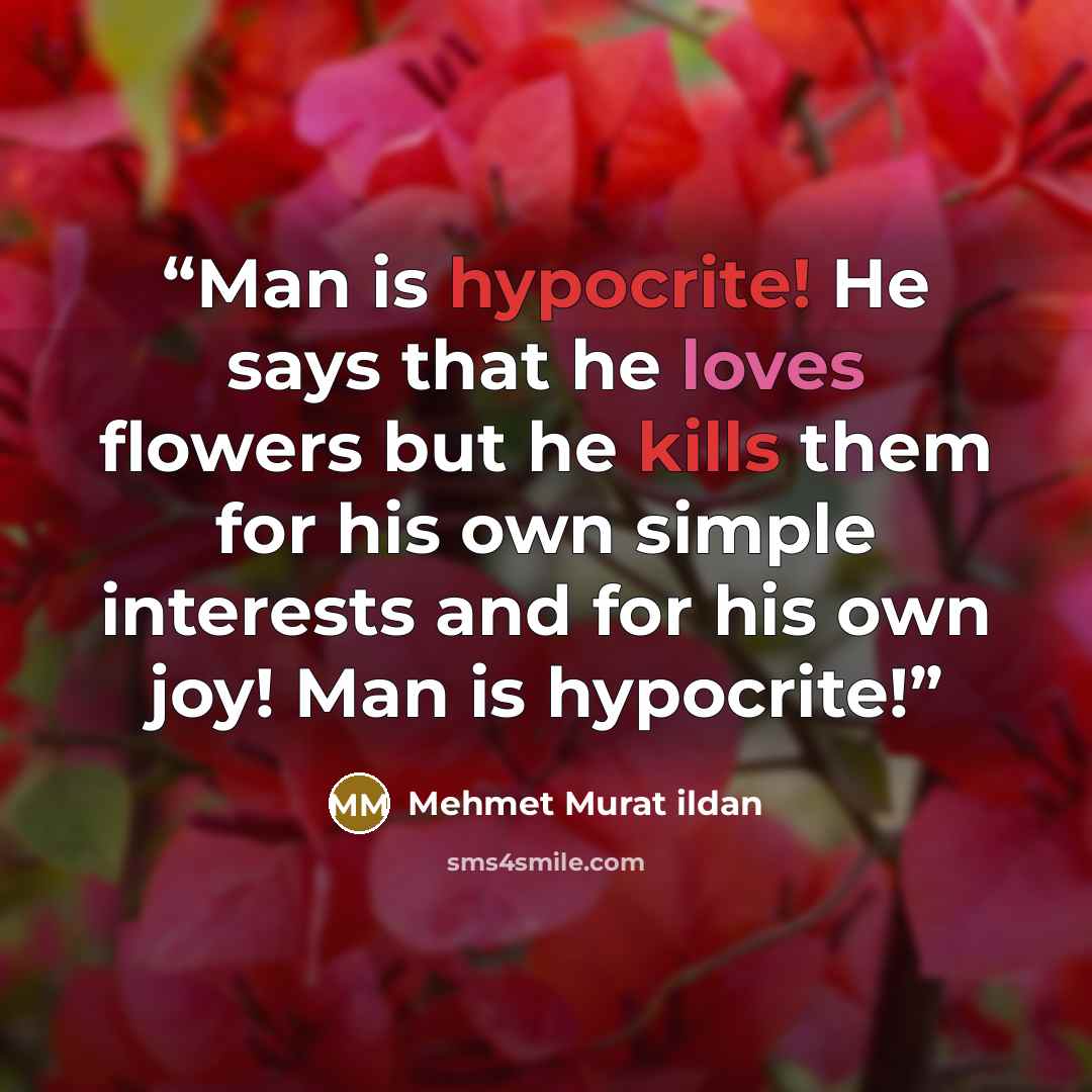 “Man is hypocrite! He says that he loves flowers but he kills them for his own simple interests and for his own joy! Man is hypocrite!” quote by Mehmet Murat ildan