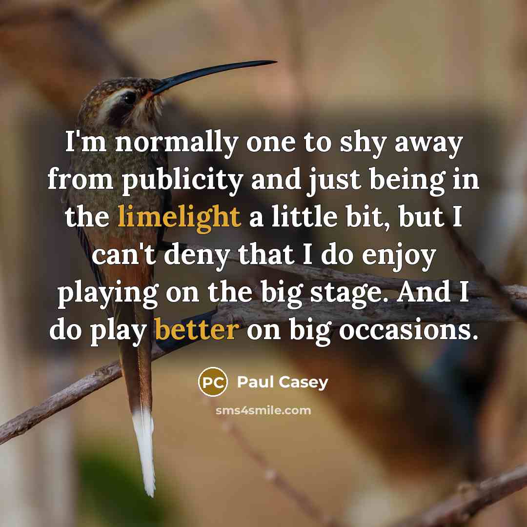 “I'm normally one to shy away from publicity and just being in the limelight a little bit, but I can't deny that I do enjoy playing on the big stage. And I do play better on big occasions.” quote by Paul Casey