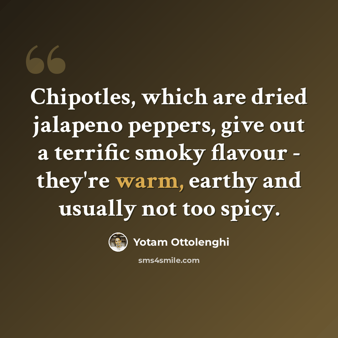“Chipotles, which are dried jalapeno peppers, give out a terrific smoky flavour - they're warm, earthy and usually not too spicy.” quote by Yotam Ottolenghi