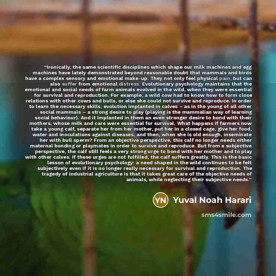 “Ironically, the same scientific disciplines which shape our milk machines and egg machines have lately demonstrated beyond reasonable doubt that mammals and birds have a complex sensory and emotional make-up. They not only feel physical pain, but can also suffer from emotional distress…” quote by Yuval Noah Harari