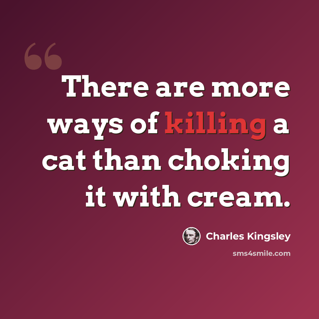“There are more ways of killing a cat than choking it with cream.” quote by Charles Kingsley