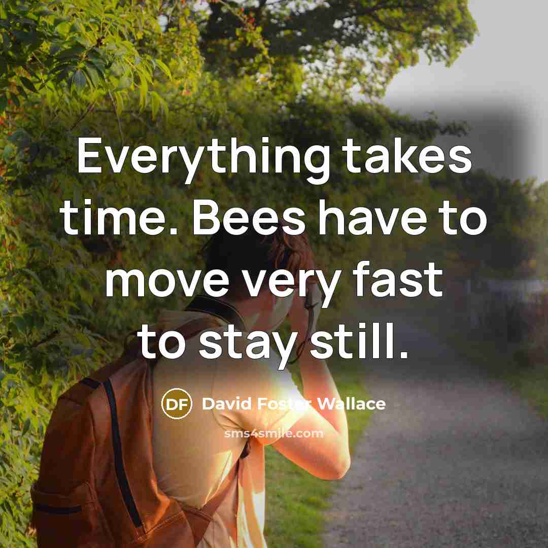 “Everything takes time. Bees have to move very fast to stay still.” quote by David Foster Wallace