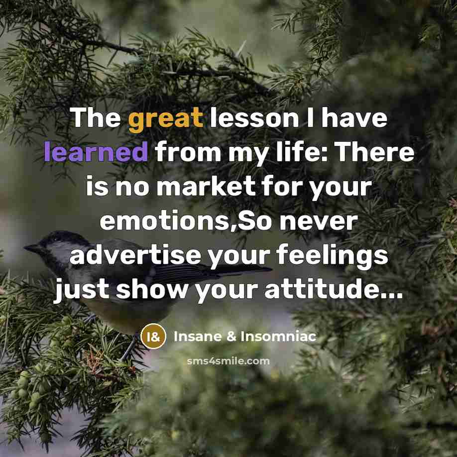“The great lesson I have learned from my life: There is no market for your emotions,So never advertise your feelings just show your attitude...” quote by Insane & Insomniac