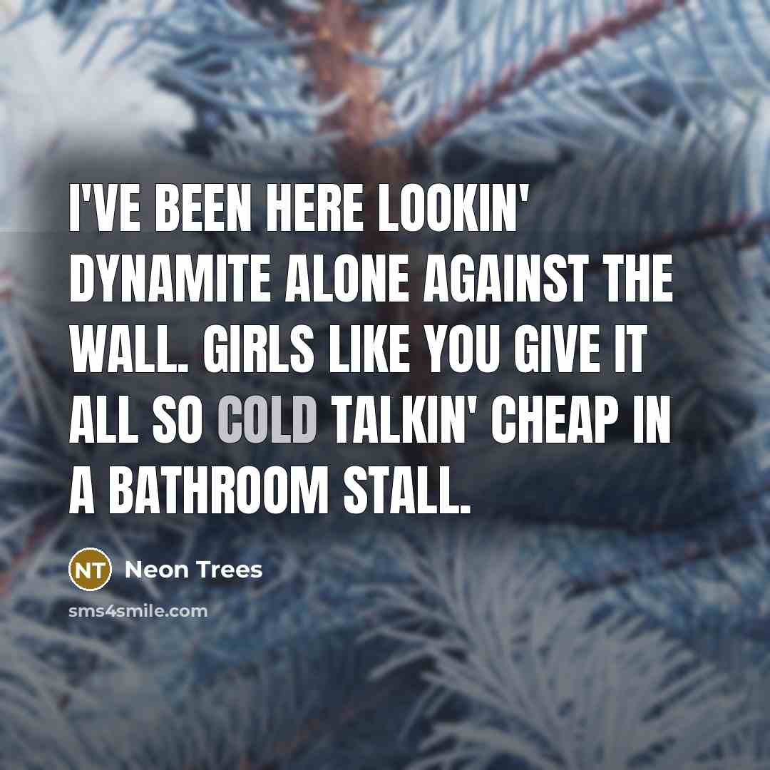 “I've been here lookin' dynamite alone against the wall. Girls like you give it all so cold talkin' cheap in a bathroom stall.” quote by Neon Trees