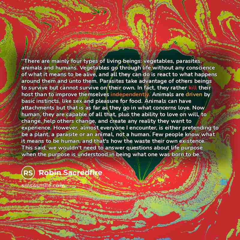 “There are mainly four types of living beings: vegetables, parasites, animals and humans. Vegetables go through life without any conscience of what it means to be alive, and all they can do is react to what happens around them and unto them. Parasites take advantage of others beings to survive but…” quote by Robin Sacredfire