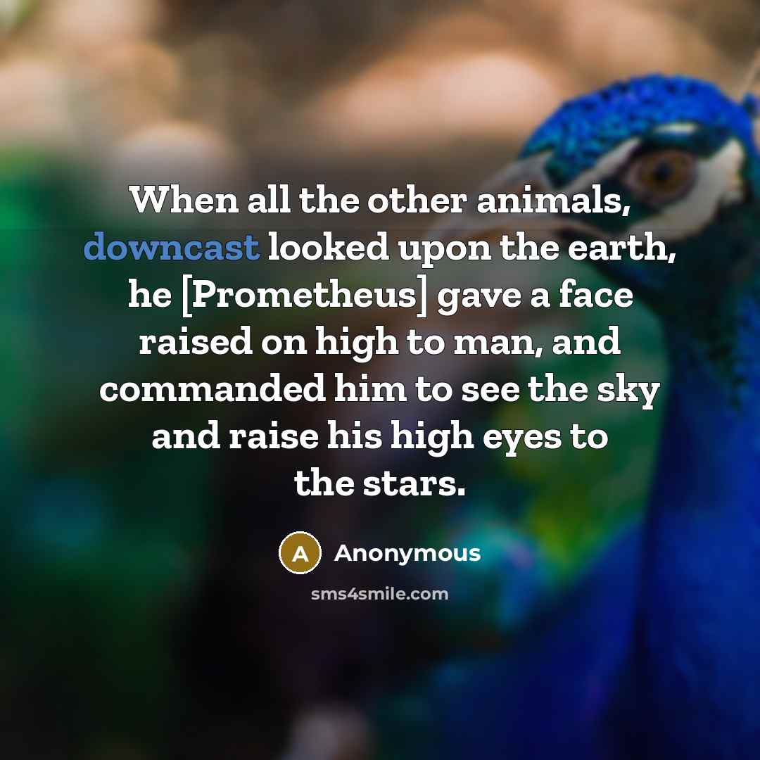 “When all the other animals, downcast looked upon the earth, he [Prometheus] gave a face raised on high to man, and commanded him to see the sky and raise his high eyes to the stars.” quote by Anonymous
