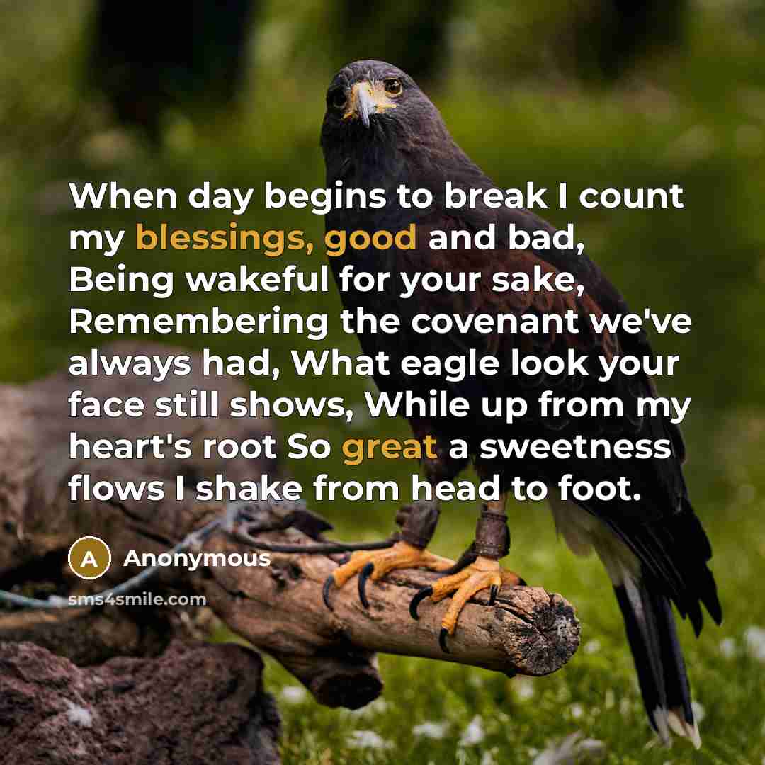 “When day begins to break I count my blessings, good and bad, Being wakeful for your sake, Remembering the covenant we've always had, What eagle look your face still shows, While up from my heart's root So great a sweetness flows I shake from head to foot.” quote by Anonymous