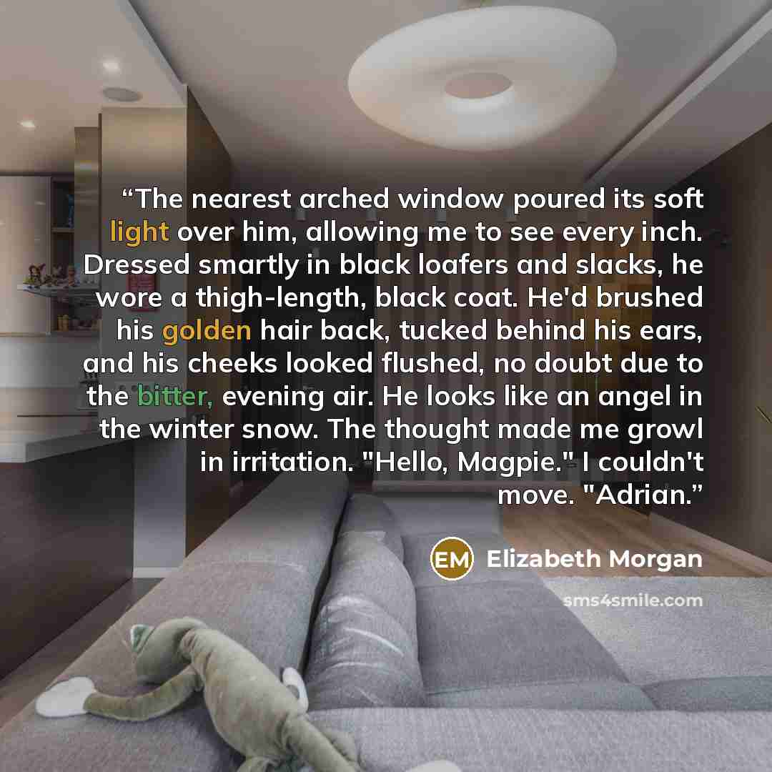 “The nearest arched window poured its soft light over him, allowing me to see every inch. Dressed smartly in black loafers and slacks, he wore a thigh-length, black coat. He'd brushed his golden hair back, tucked behind his ears, and his cheeks looked flushed, no doubt due to the bitter, evening…” quote by Elizabeth Morgan