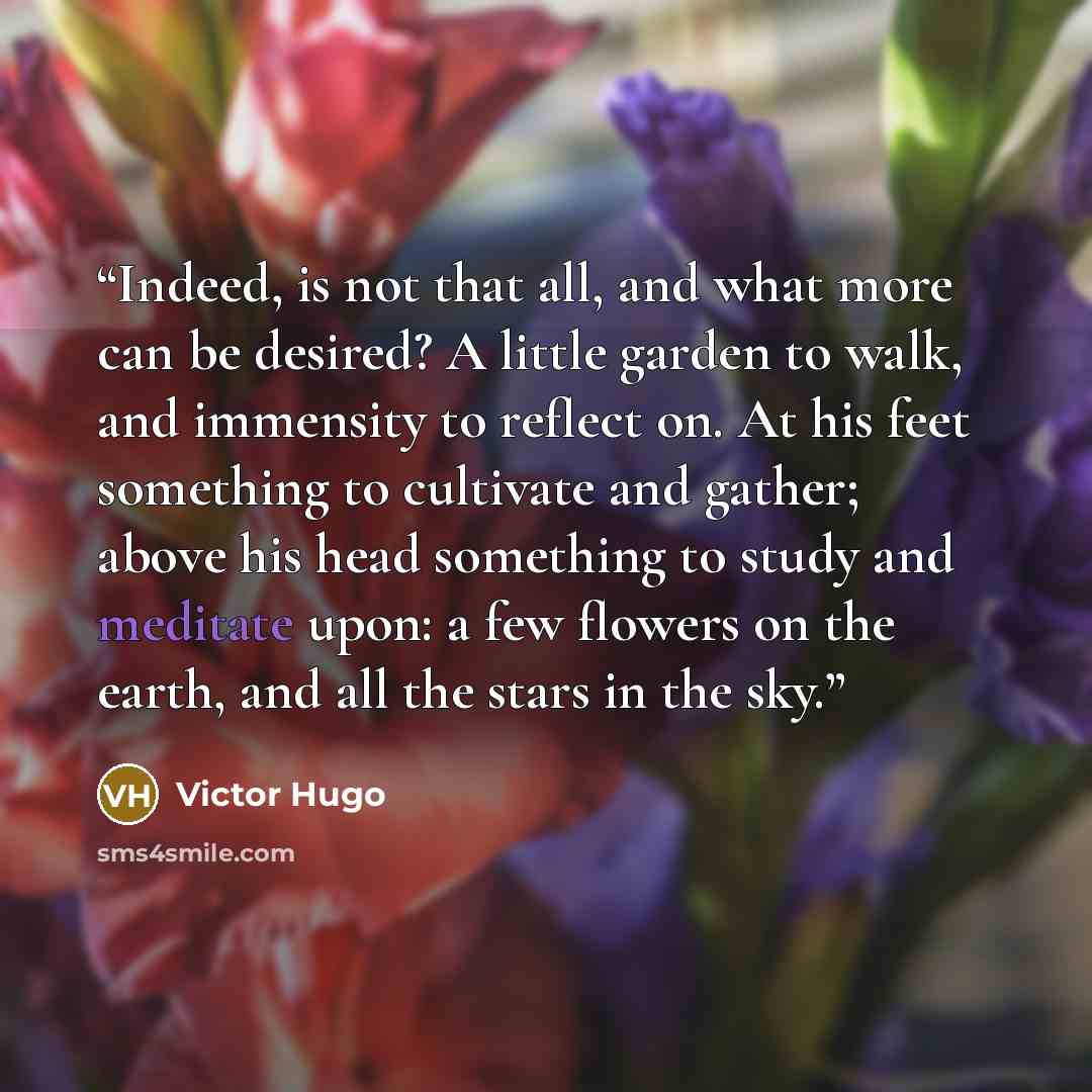 “Indeed, is not that all, and what more can be desired? A little garden to walk, and immensity to reflect on. At his feet something to cultivate and gather; above his head something to study and meditate upon: a few flowers on the earth, and all the stars in the sky.” quote by Victor Hugo