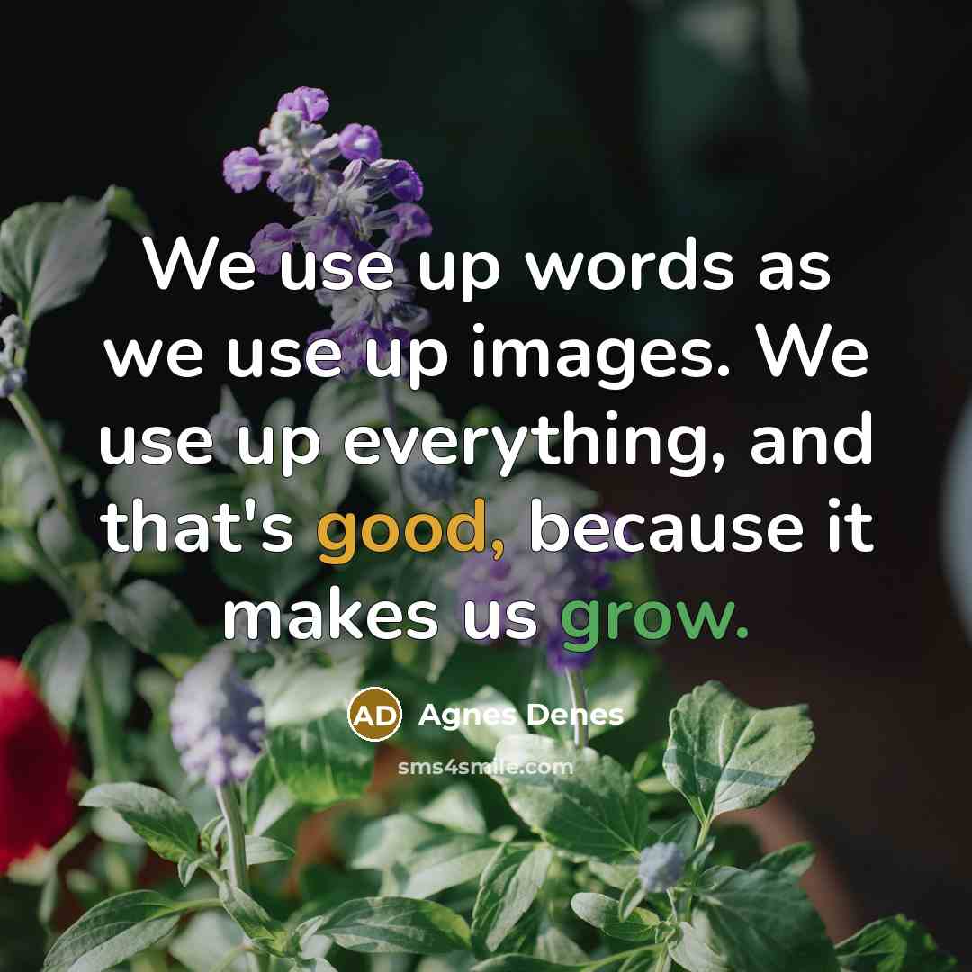 “We use up words as we use up images. We use up everything, and that's good, because it makes us grow.” quote by Agnes Denes