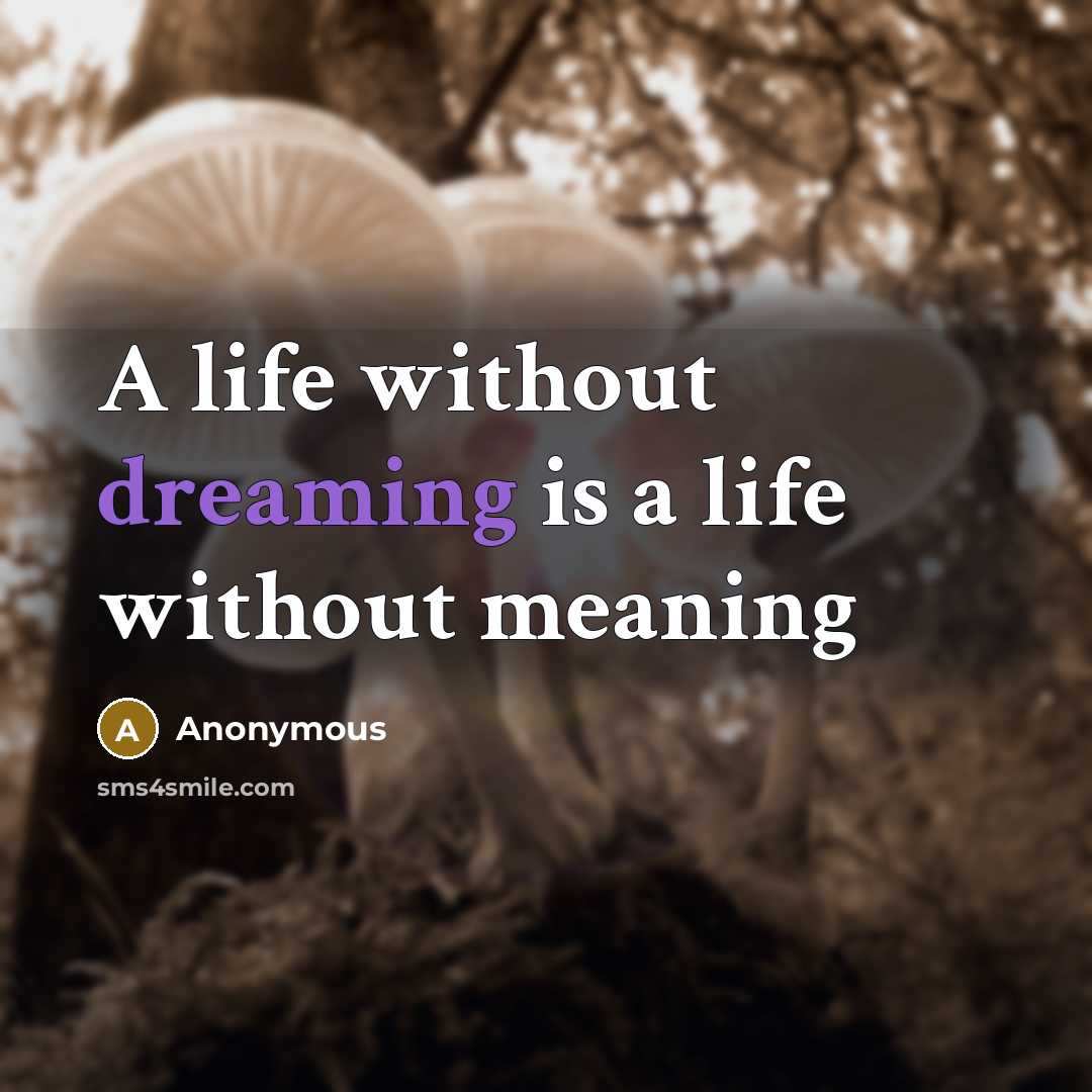 “A life without dreaming is a life without meaning” quote by Anonymous