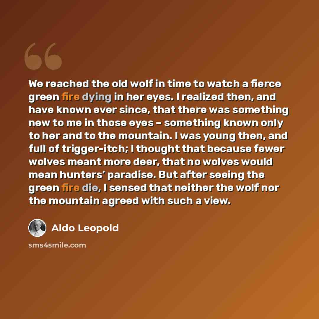 “We reached the old wolf in time to watch a fierce green fire dying in her eyes. I realized then, and have known ever since, that there was something new to me in those eyes – something known only to her and to the mountain. I was young then, and full of trigger-itch; I thought that because fewer…” quote by Aldo Leopold
