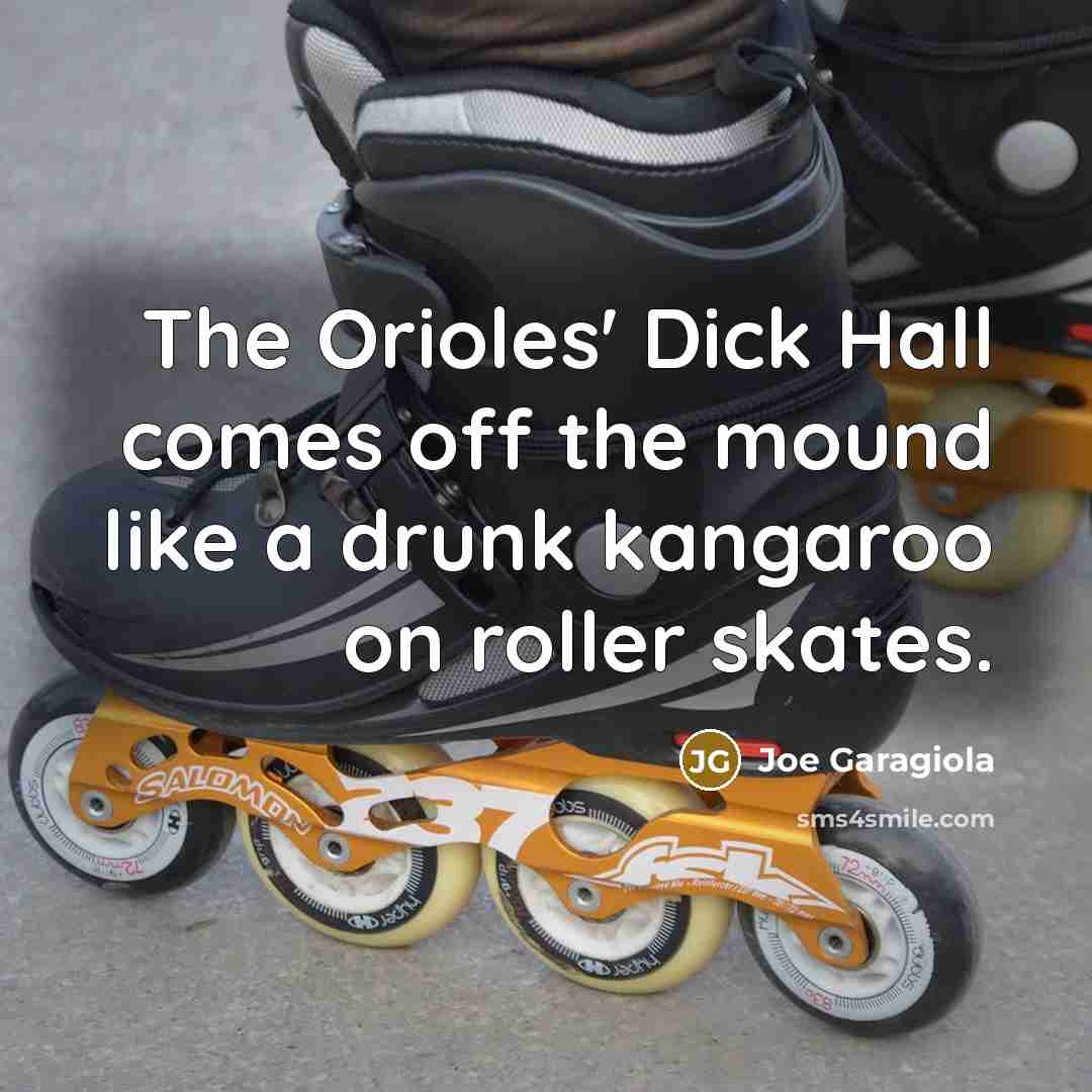 “The Orioles' Dick Hall comes off the mound like a drunk kangaroo on roller skates.” quote by Joe Garagiola