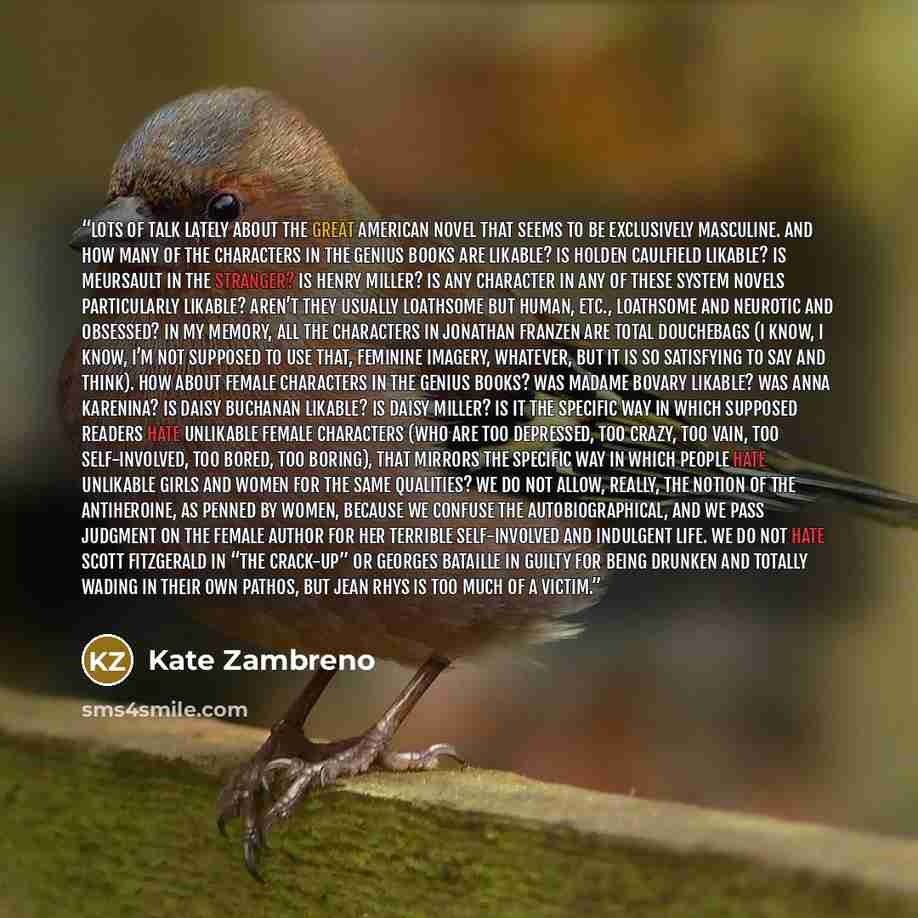 “Lots of talk lately about the GREAT AMERICAN NOVEL that seems to be exclusively masculine. And how many of the characters in the GENIUS BOOKS are likable? Is Holden Caulfield likable? Is Meursault in The Stranger? Is Henry Miller? Is any character in any of these system novels particularly…” quote by Kate Zambreno