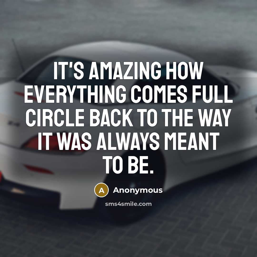 “It's amazing how everything comes full circle back to the way it was always meant to be.” quote by Anonymous