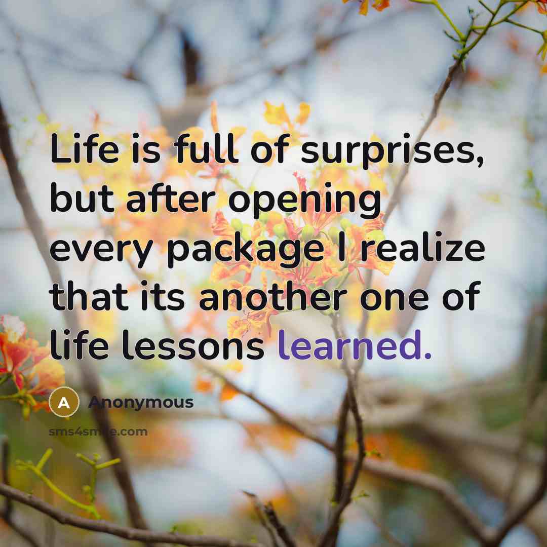 “Life is full of surprises, but after opening every package I realize that its another one of life lessons learned.” quote by Anonymous