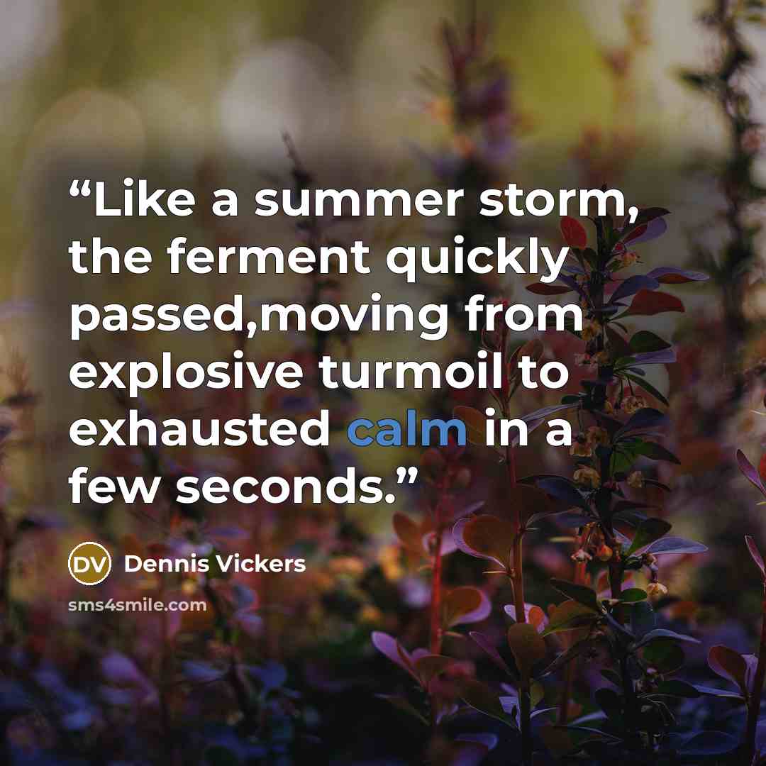 “Like a summer storm, the ferment quickly passed,moving from explosive turmoil to exhausted calm in a few seconds.” quote by Dennis Vickers