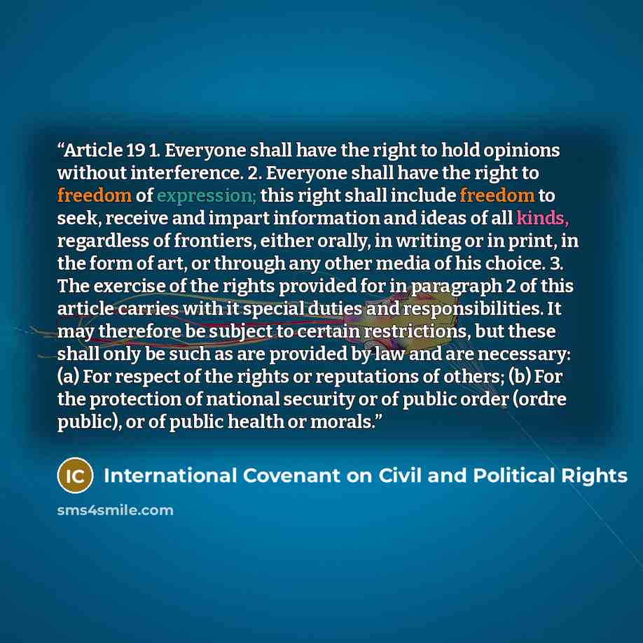 “Article 19 1. Everyone shall have the right to hold opinions without interference. 2. Everyone shall have the right to freedom of expression; this right shall include freedom to seek, receive and impart information and ideas of all kinds, regardless of frontiers, either orally, in writing or in…” quote by International Covenant on Civil and Political Rights