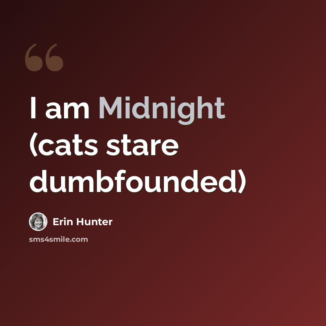 “I am Midnight (cats stare dumbfounded)” quote by Erin Hunter