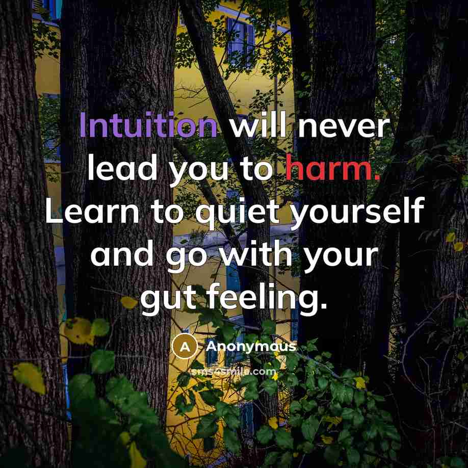 “Intuition will never lead you to harm. Learn to quiet yourself and go with your gut feeling.” quote by Anonymous