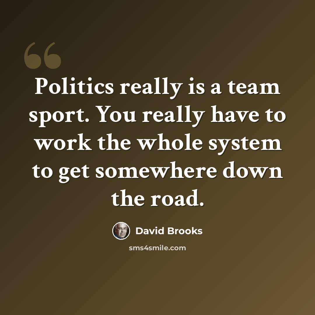 “Politics really is a team sport. You really have to work the whole system to get somewhere down the road.” quote by David Brooks