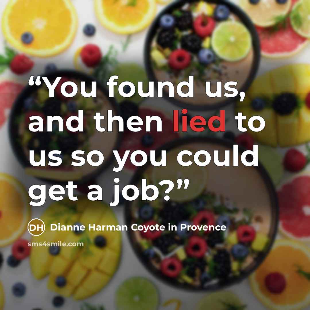 “You found us, and then lied to us so you could get a job?” quote by Dianne Harman Coyote in Provence