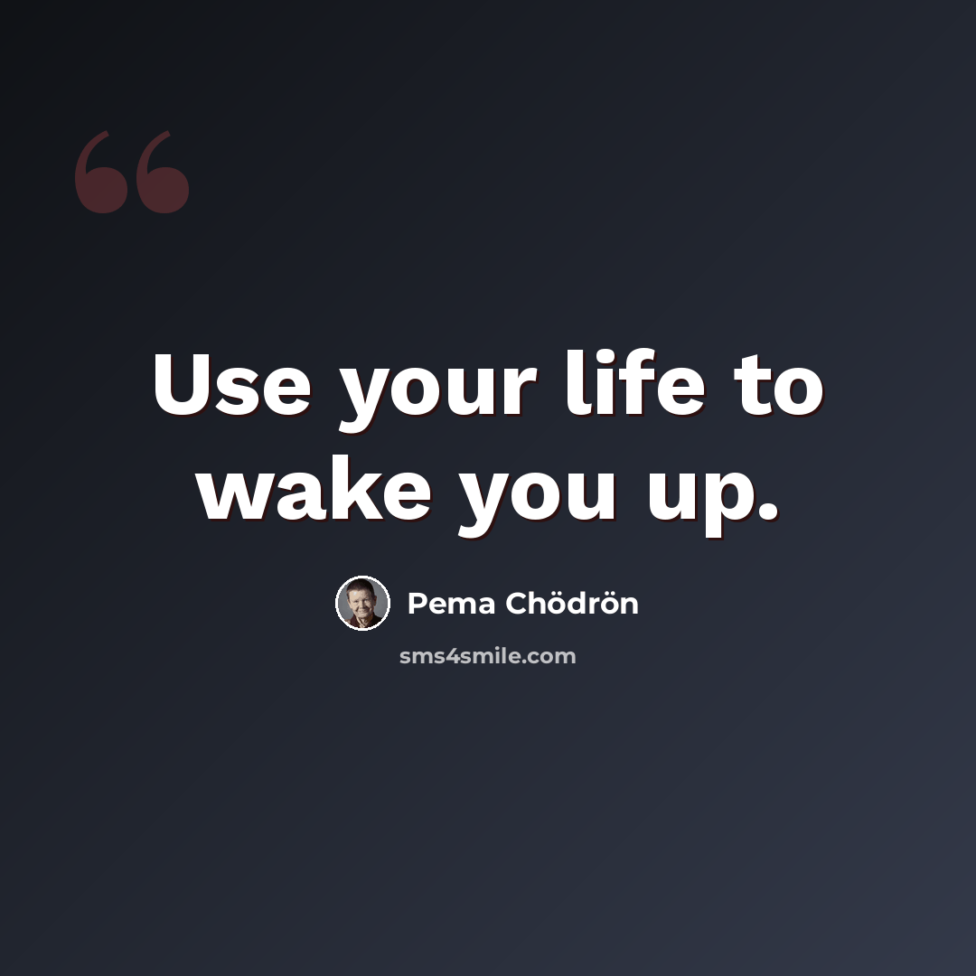 “Use your life to wake you up.” quote by Pema Chodron
