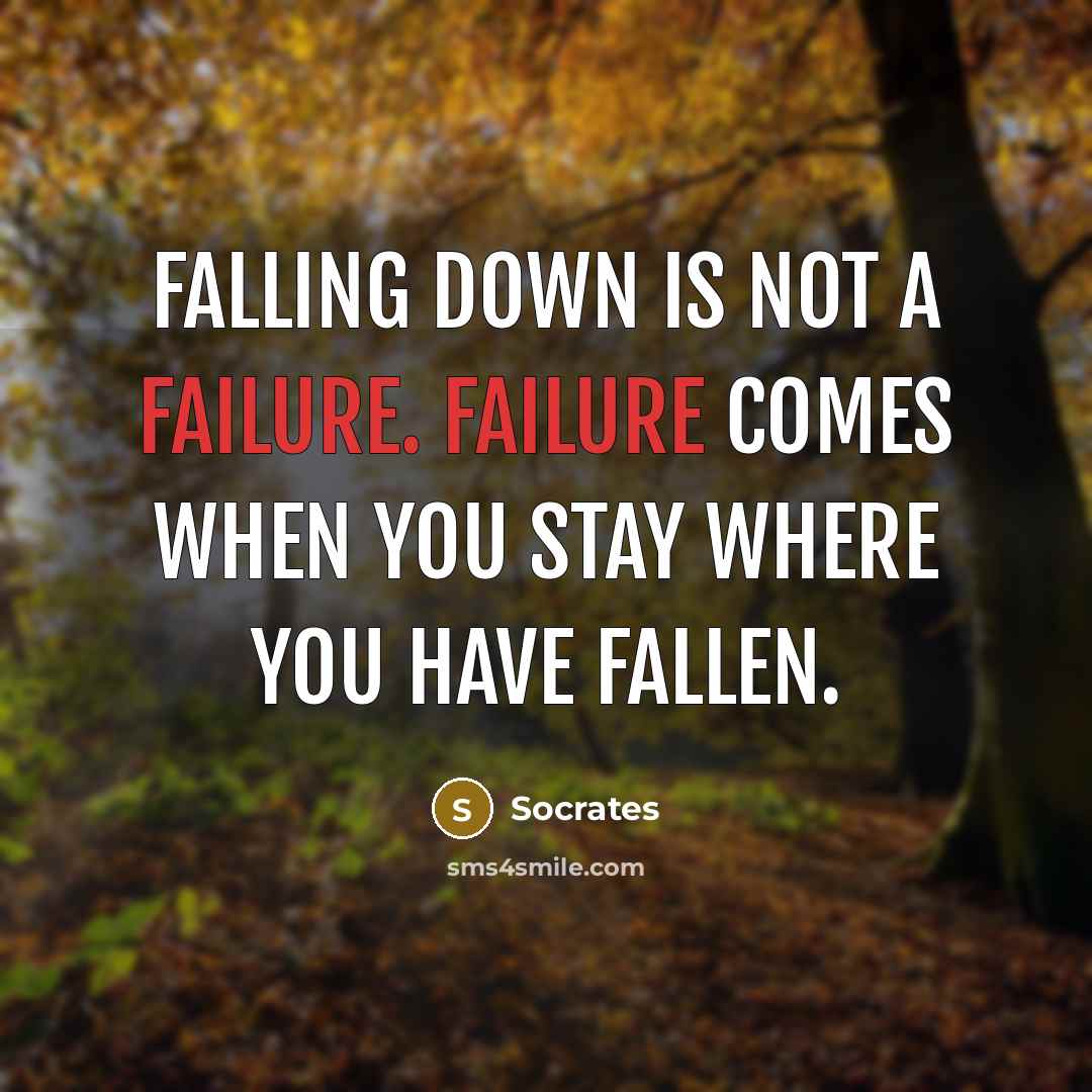 “Falling down is not a failure. Failure comes when you stay where you have fallen.” quote by Socrates
