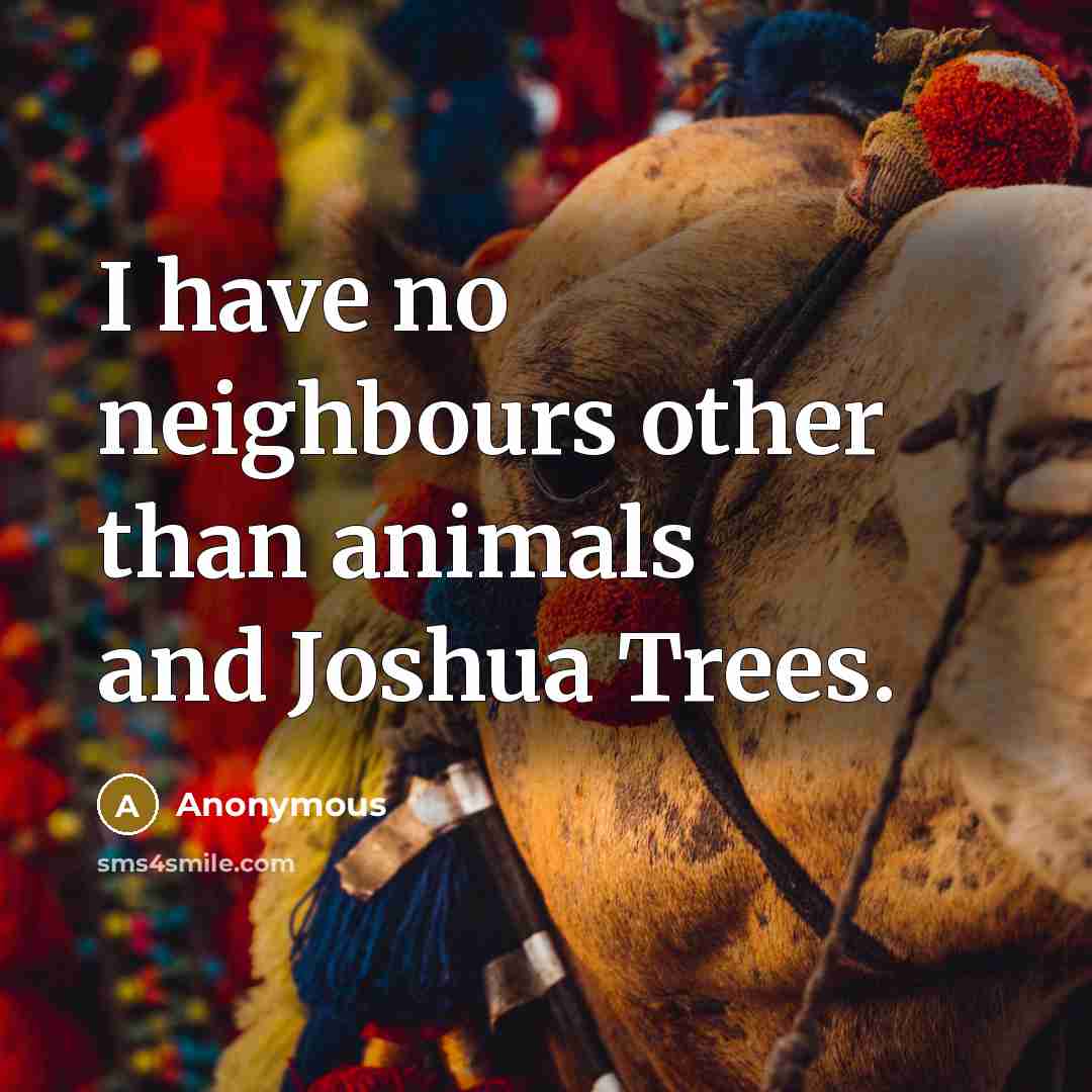 “I have no neighbours other than animals and Joshua Trees.” quote by Anonymous