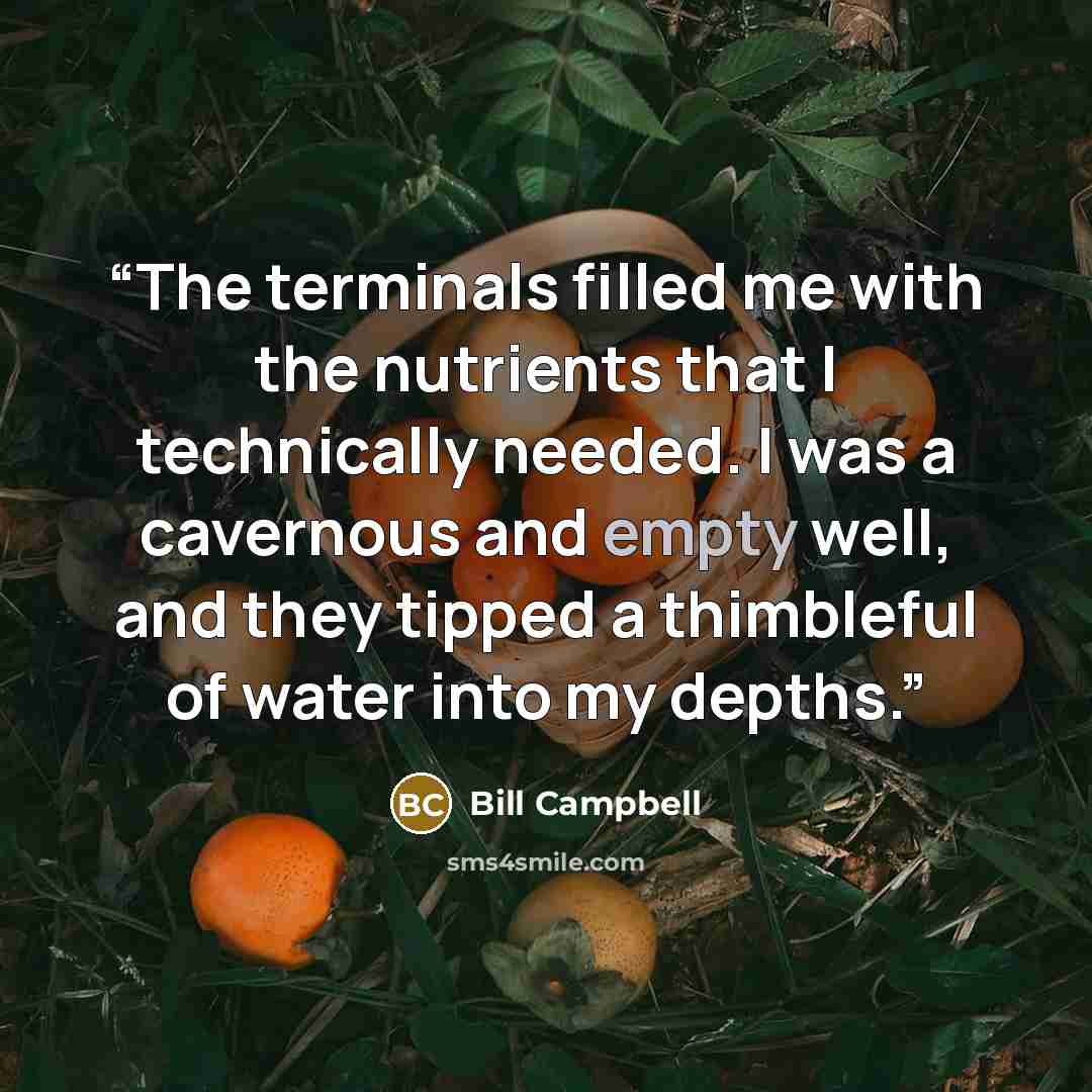 “The terminals filled me with the nutrients that I technically needed. I was a cavernous and empty well, and they tipped a thimbleful of water into my depths.” quote by Bill Campbell