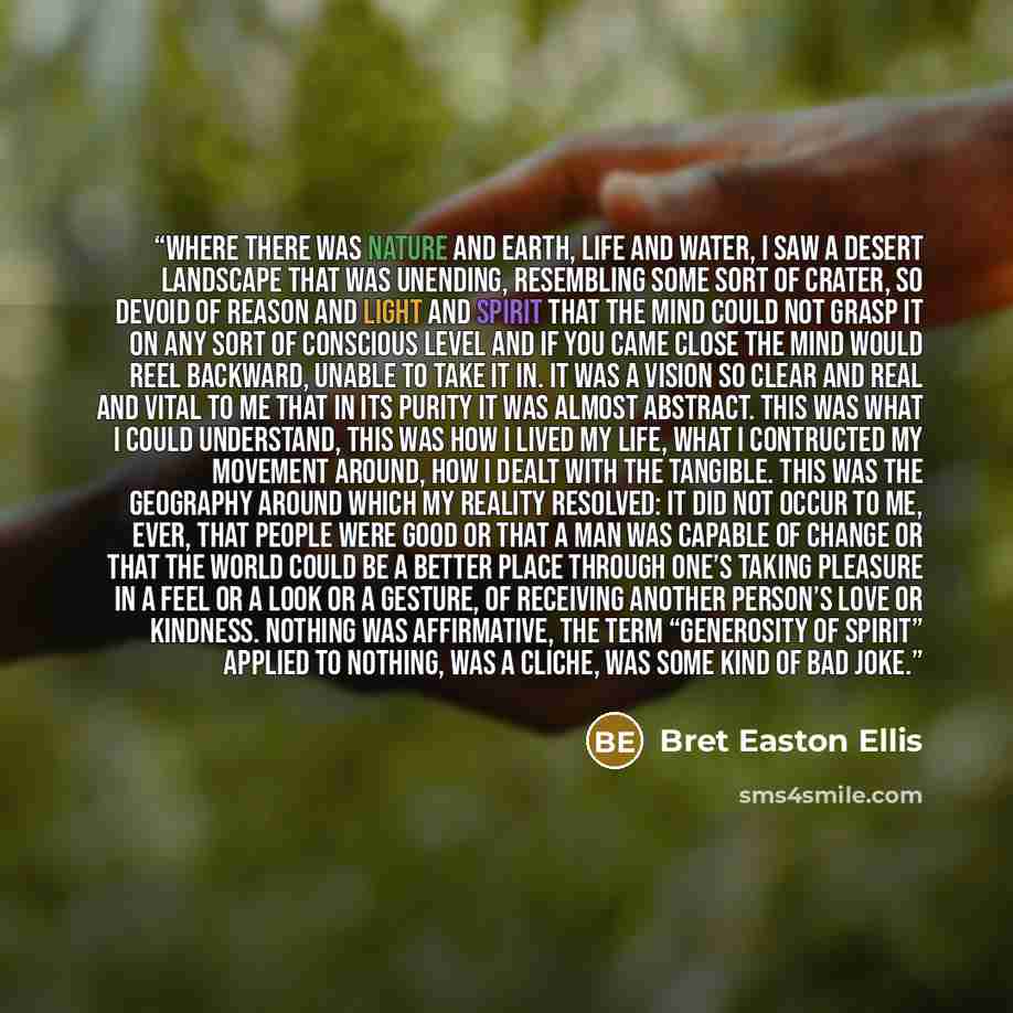 “where there was nature and earth, life and water, I saw a desert landscape that was unending, resembling some sort of crater, so devoid of reason and light and spirit that the mind could not grasp it on any sort of conscious level and if you came close the mind would reel backward, unable to take…” quote by Bret Easton Ellis