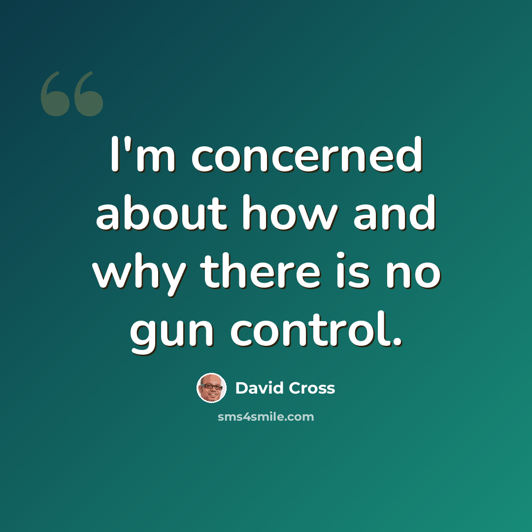“I'm concerned about how and why there is no gun control.” quote by David Cross