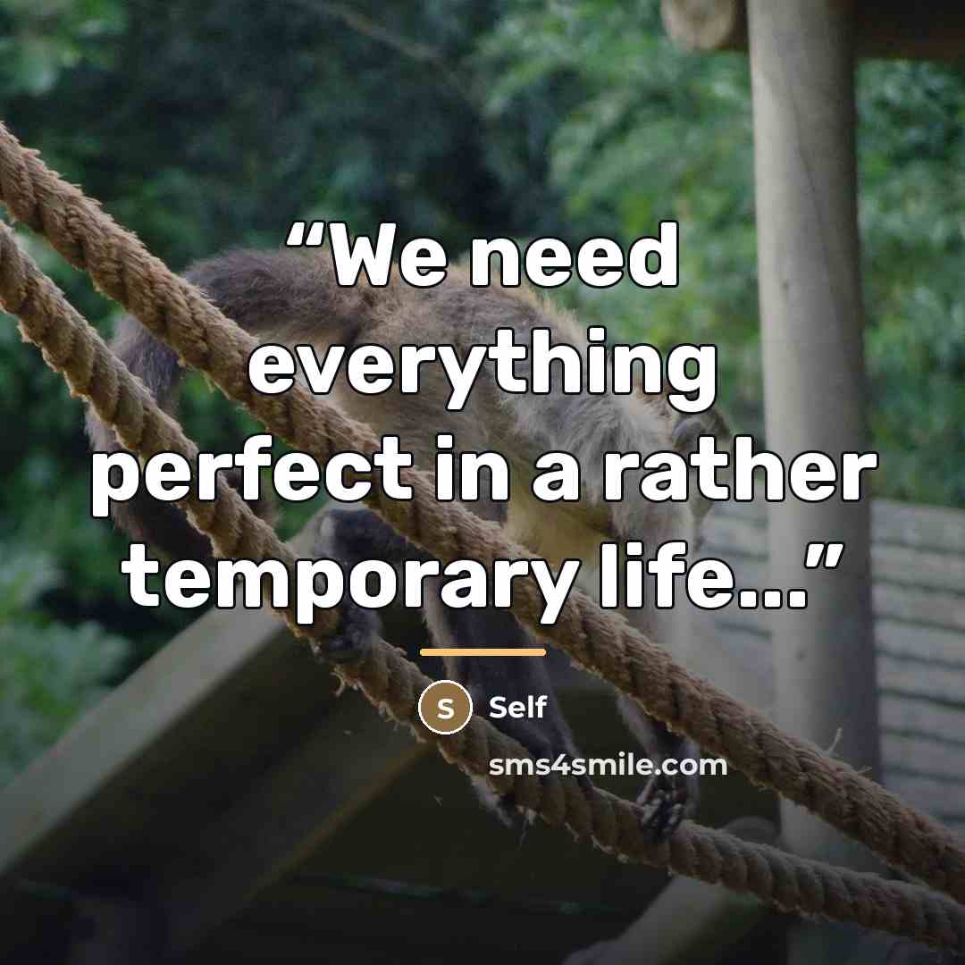“We need everything perfect in a rather temporary life...” quote by Self