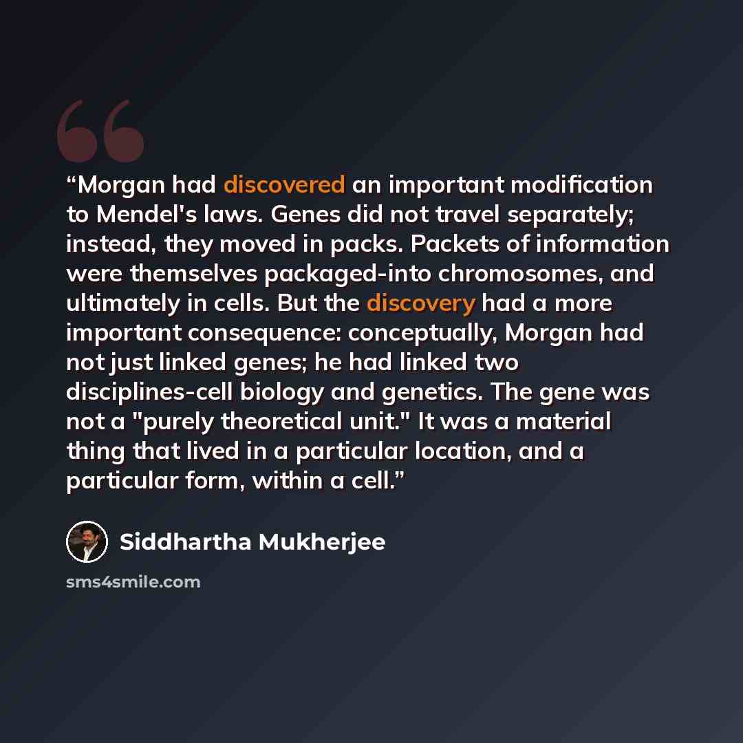 “Morgan had discovered an important modification to Mendel's laws. Genes did not travel separately; instead, they moved in packs. Packets of information were themselves packaged-into chromosomes, and ultimately in cells. But the discovery had a more important consequence: conceptually, Morgan had…” quote by Siddhartha Mukherjee