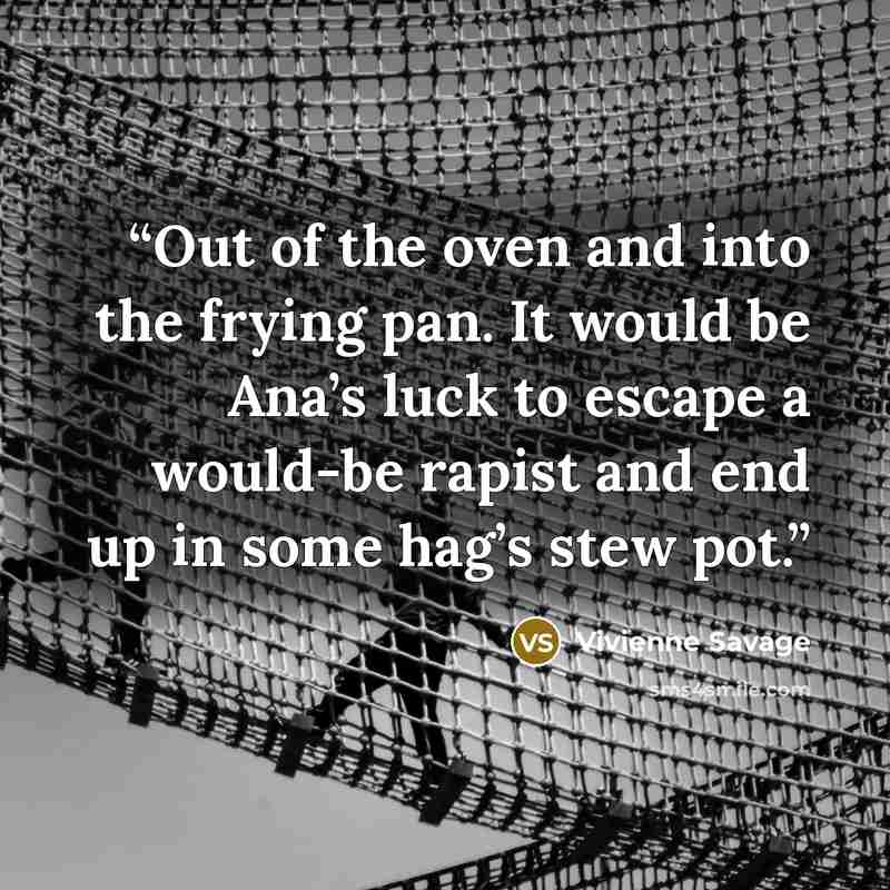 “Out of the oven and into the frying pan. It would be Ana’s luck to escape a would-be rapist and end up in some hag’s stew pot.” quote by Vivienne Savage