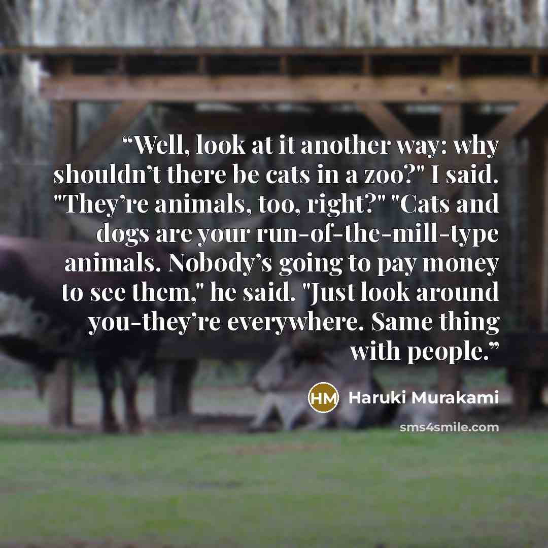 “Well, look at it another way: why shouldn’t there be cats in a zoo?" I said. "They’re animals, too, right?" "Cats and dogs are your run-of-the-mill-type animals. Nobody’s going to pay money to see them," he said. "Just look around you-they’re everywhere. Same thing with people.” quote by Haruki Murakami