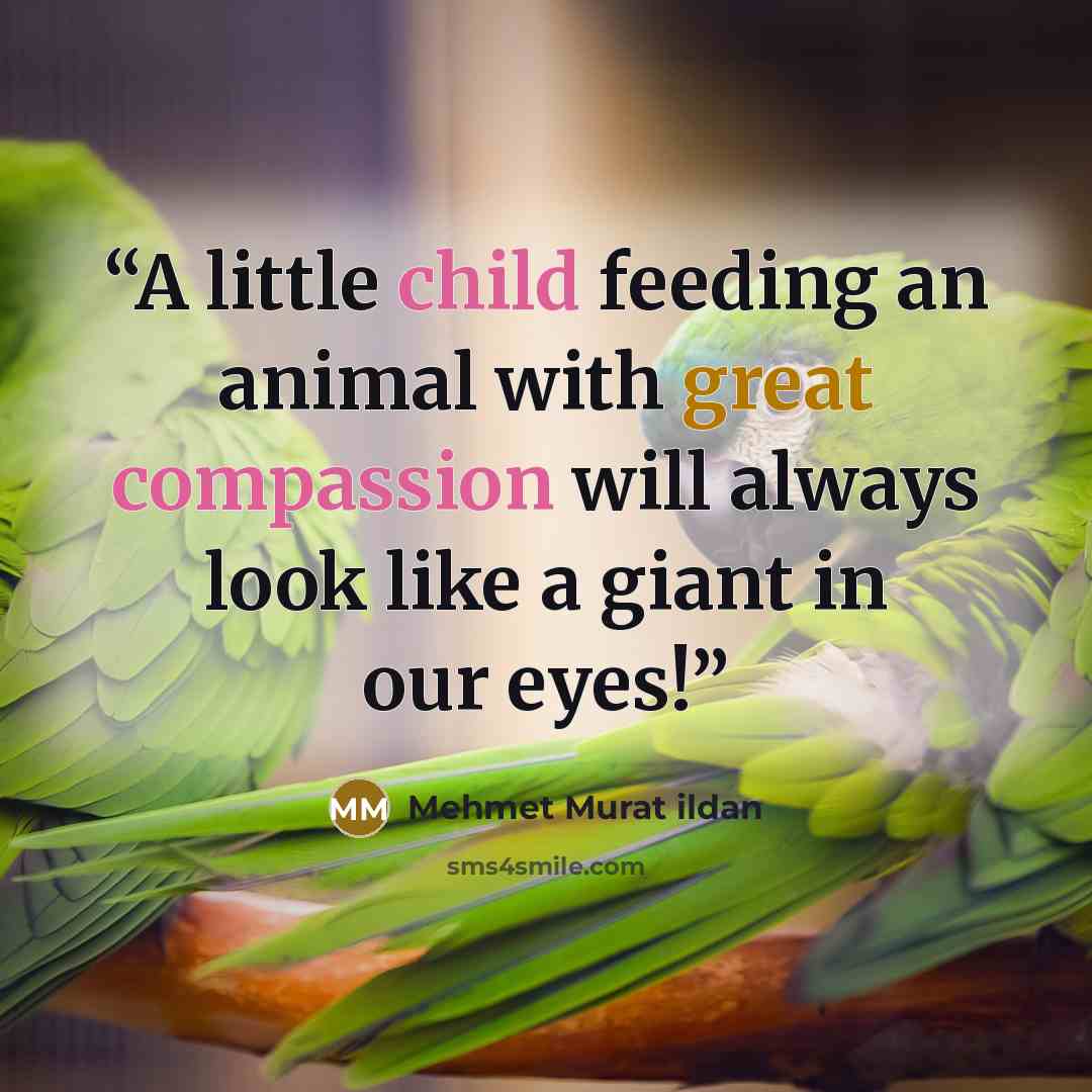 “A little child feeding an animal with great compassion will always look like a giant in our eyes!” quote by Mehmet Murat ildan