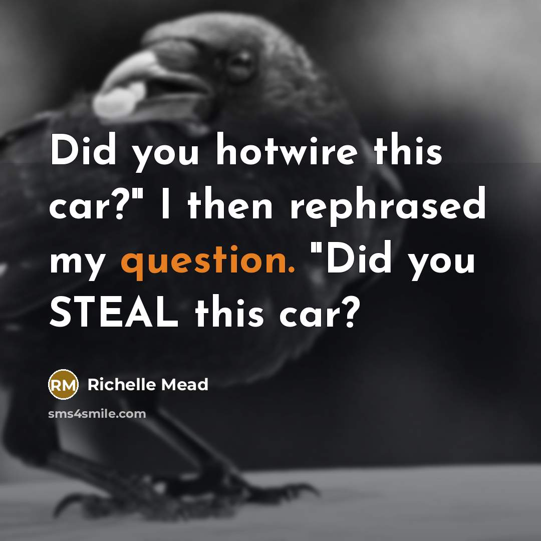 “Did you hotwire this car?" I then rephrased my question. "Did you STEAL this car?” quote by Richelle Mead