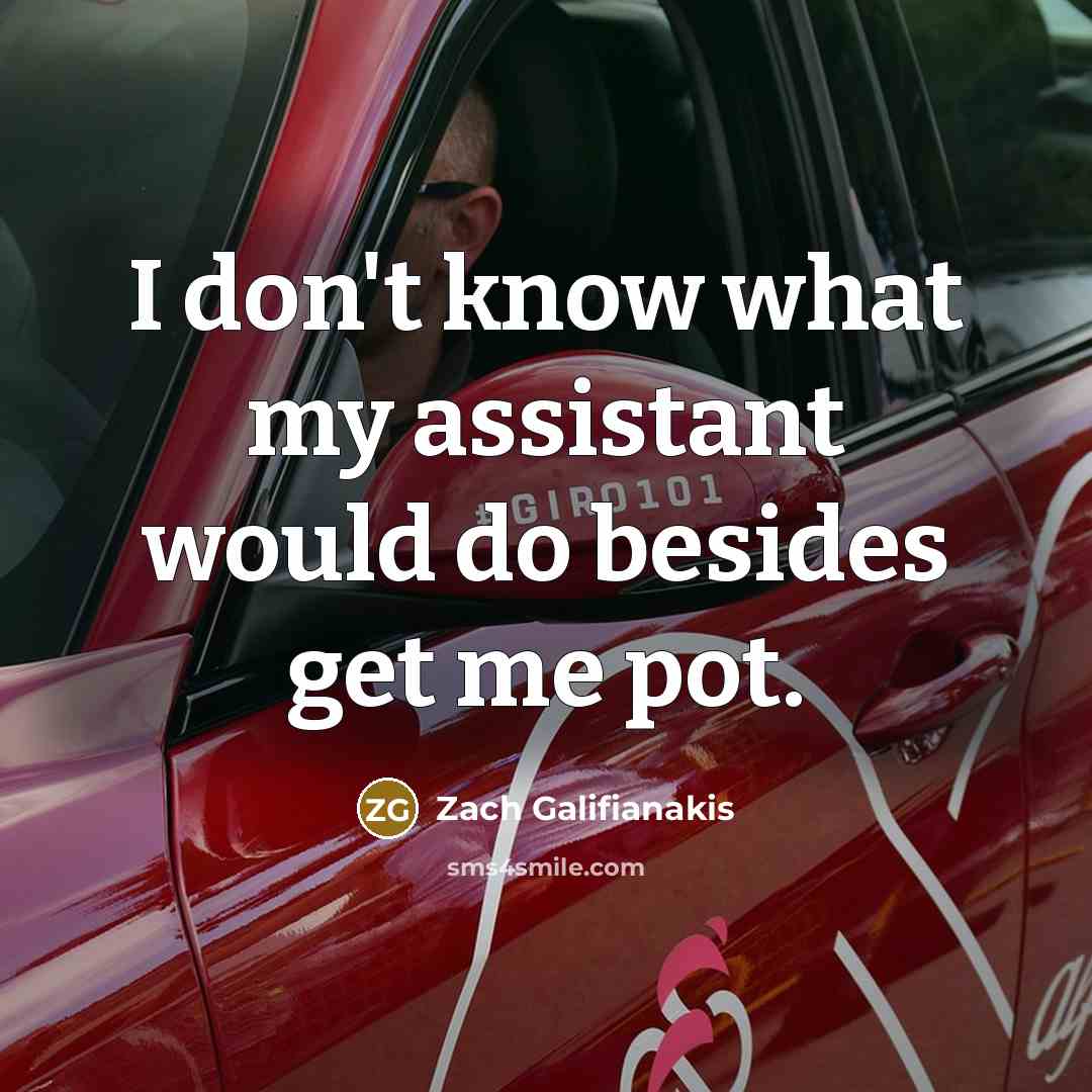 “I don't know what my assistant would do besides get me pot.” quote by Zach Galifianakis