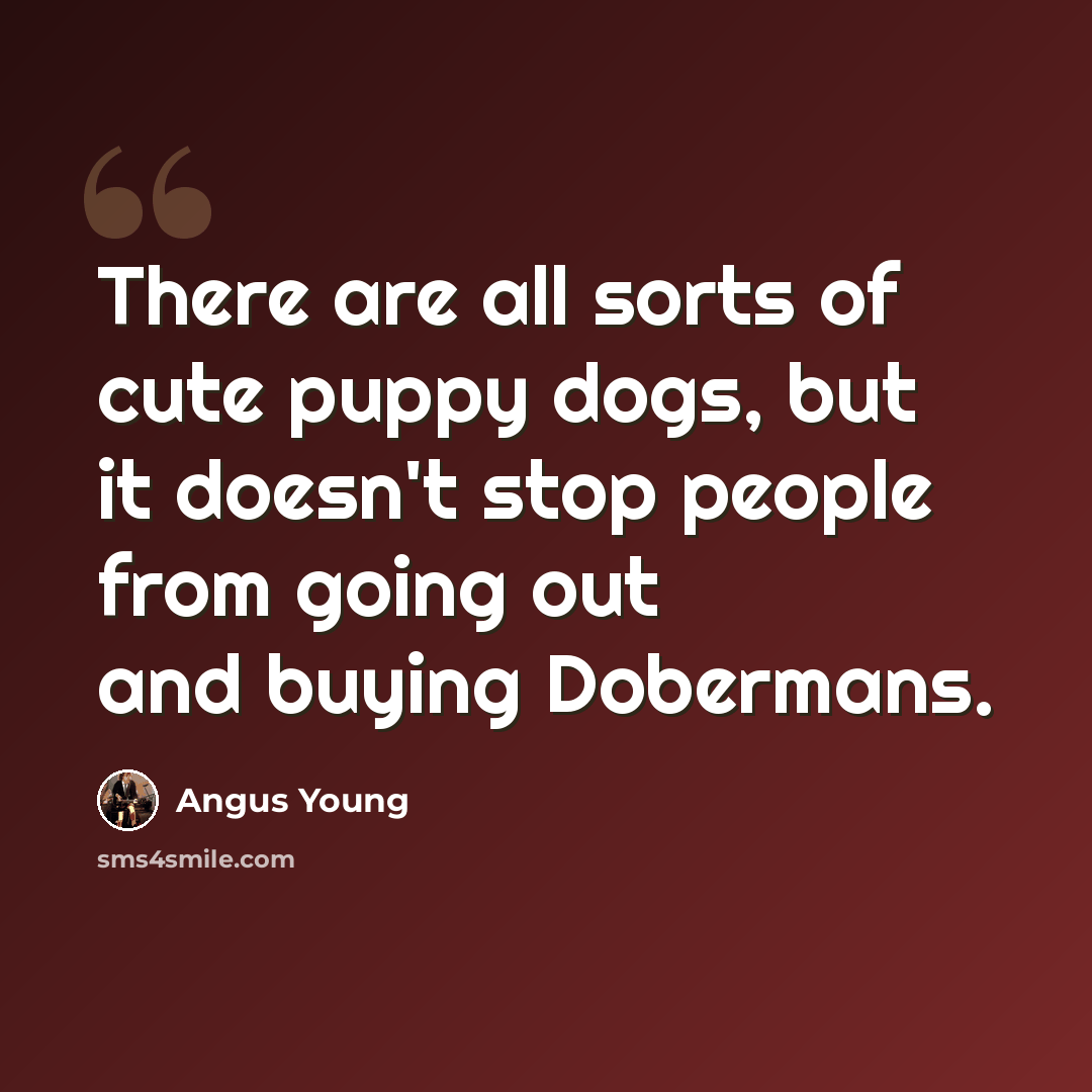 “There are all sorts of cute puppy dogs, but it doesn't stop people from going out and buying Dobermans.” quote by Angus Young