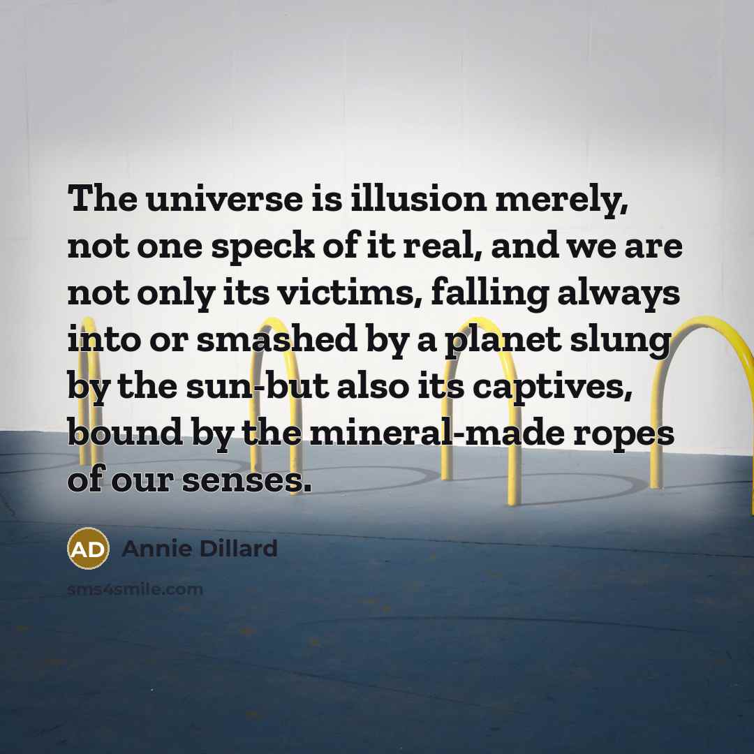 “The universe is illusion merely, not one speck of it real, and we are not only its victims, falling always into or smashed by a planet slung by the sun-but also its captives, bound by the mineral-made ropes of our senses.” quote by Annie Dillard