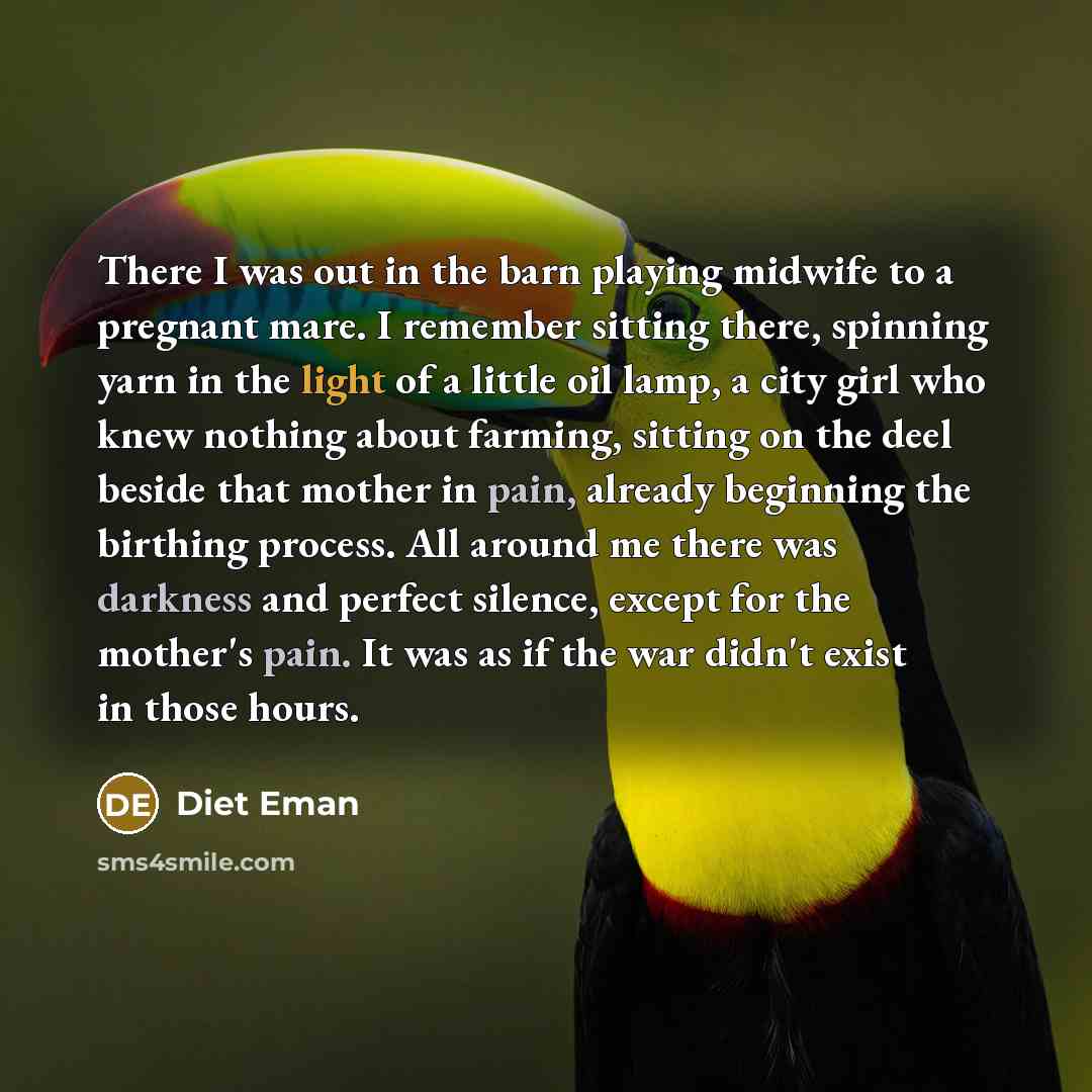 “There I was out in the barn playing midwife to a pregnant mare. I remember sitting there, spinning yarn in the light of a little oil lamp, a city girl who knew nothing about farming, sitting on the deel beside that mother in pain, already beginning the birthing process. All around me there was…” quote by Diet Eman