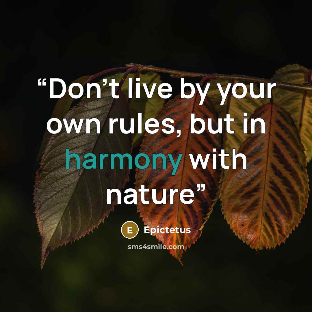 “Don't live by your own rules, but in harmony with nature” quote by Epictetus