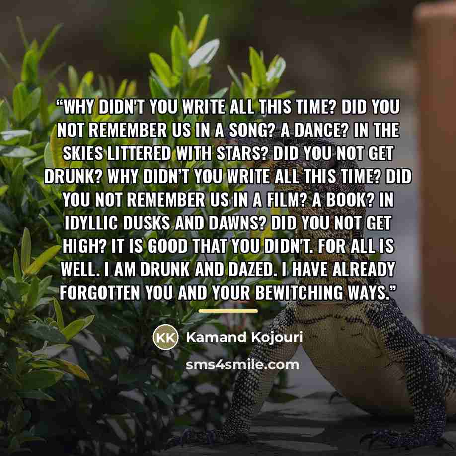“Why didn't you write all this time? Did you not remember us in a song? A dance? In the skies littered with stars? Did you not get drunk? Why didn’t you write all this time? Did you not remember us in a film? A book? In idyllic dusks and dawns? Did you not get high? It is good that you didn't. For…” quote by Kamand Kojouri