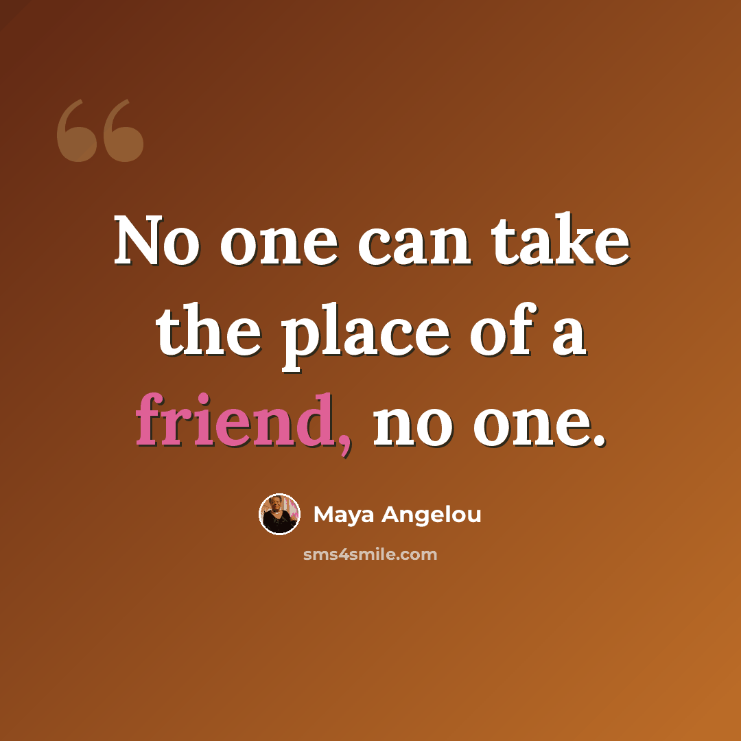 “No one can take the place of a friend, no one.” quote by Maya Angelou